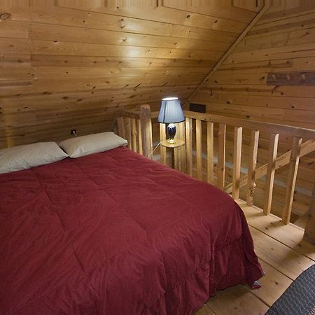 Galena Log Cabin Getaway Room photo